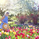 Paisagismo: confira 5 dicas para ter um lindo jardim.